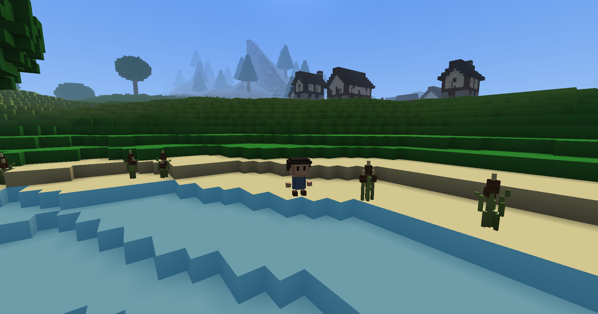 The player on a sandy shore facing the camera, with clumps of cattails along the water's edge, grassy terraces behind and a few houses on the hill beyond.